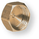 Bouchon pour portée plate filetage femelle 3/4" (par 1)