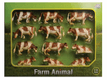 Vaches rousses/blanches(12pcs)