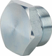 Bouchon a visser BSP 2"