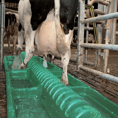 Materiels - Abreuvoir - PEDILUVE ANTI-BOUSES 160