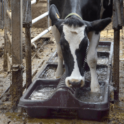 Materiels - Abreuvoir - PEDILUVE ANTI-BOUSES 160