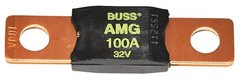 Fusible 100A