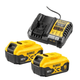 Kit de démarrage batterie et chargeur 5Ah