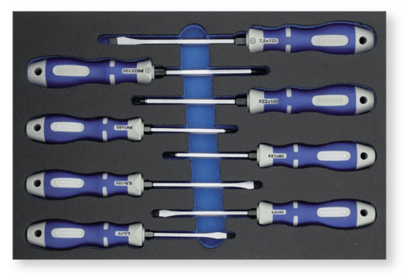 Equipement d'atelier - Equipement d'atelier divers - Mousse pleine 8 tournevis Force fente - PH - PZ (par 1)