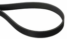 Courroie Poly 8PJ 1285Lp