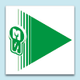 Flèches de signalisation S3 vert 50 pièces 12x12cm