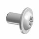 SCR-TXFLBH-M6X1.0X10 8.8 ZC Polaris origine