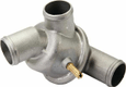 Thermostat Steyr