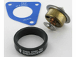 Thermostat Maxxum
