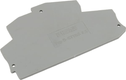Plaque de fermeture 3038503
