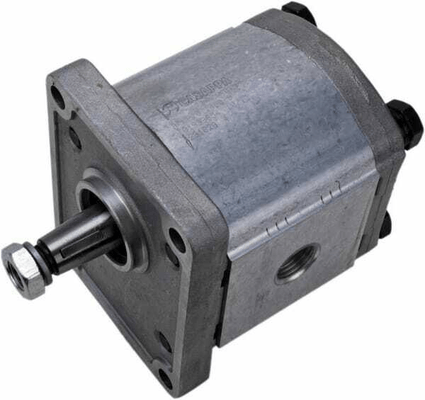 Pièces agricoles - Hydraulique - Pompe PLP20.11,2D0-82E2-LGD/GD