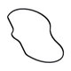 GLAND HEAD SEAL Polaris origine