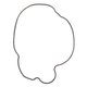 GLAND SEAL, HEAD Polaris origine