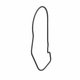 CHAINCASE GASKET, 8.424 Polaris origine