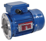Moteur électrique 0,25 kw