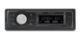 Radio DAB/BT/RDS/USB/SD/MP3/AUX IN
