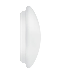 Pièces agricoles - Electricité - Luminaire circulaire 400 24 W 840