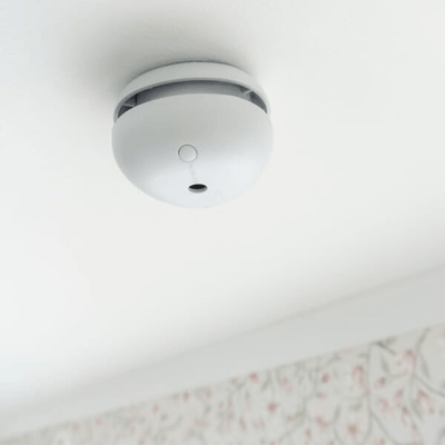 Pièces agricoles - Electricité - Détecteur de fumée Pebble Mini