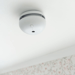 Pièces agricoles - Electricité - Détecteur de fumée Pebble Mini