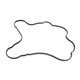 ROCKER COVER SEAL Polaris origine