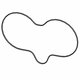 SEAL-GLAND,HEAD,77.25,AS Polaris origine