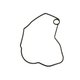 STATOR COVER GASKET Polaris origine