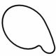 WATERPUMP COVER GASKET Polaris origine