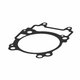 BASE GASKET Polaris origine