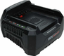 Chargeur de batterie 220v Briggs & Stratton