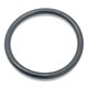 O RING Polaris origine