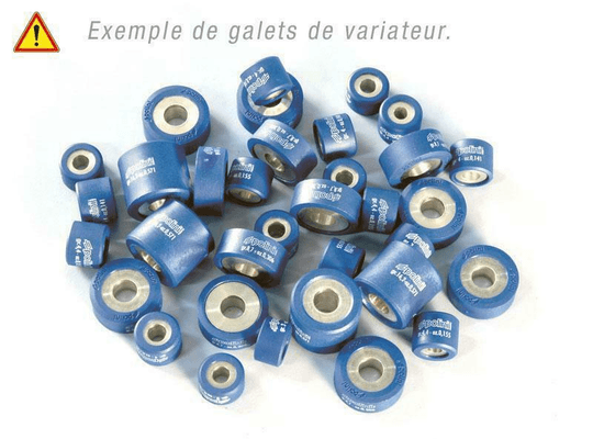 Pièces Quad & Motos - Moteur - Jeu de galets POLINI 19x12mm 7,6gr - 9 pièces
