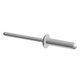 RIVET Polaris origine