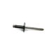 RIVET Polaris origine