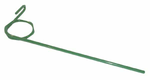 Dent d'étrille