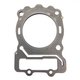 DOUBLE LAYER GASKET HEAD Polaris origine