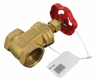 Vanne guillotine BSP 1" fem/fem