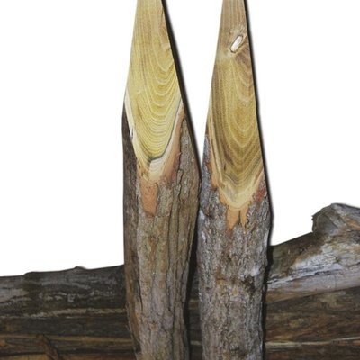 Materiels - Appointeuse de pieux - APPOINTEUSE DE PIEUX BIFACE 185