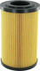 Filtre 10 µm