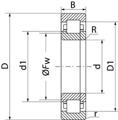 Pièces agricoles - Roulements - Roulement à rouleaux cylindriques 55x100x21mm SKF