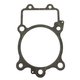 BASE GASKET Polaris origine