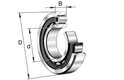 Palier cylindr. NU cage laiton