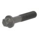 Boulon à tête Torx