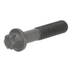Pièces agricoles - TP pièce origine - Boulon à tête Torx