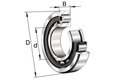 Roulement à rouleaux cylindriques 25x62x17mm INA/FAG