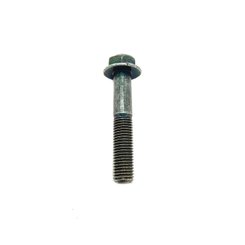 Pièces Quad & Motos - Pièces communes - HEX FLANGE SCREW 10 MM X 1.25 MM X 55 MM Polaris origine