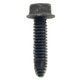 SCREW Polaris origine