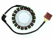 Stator ELECTROSPORT - Aprilia ETV1000 Caponord