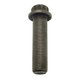 BOLT, M10 X 1.0 X 38 Polaris origine