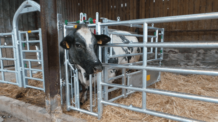 Materiels - Matériel d'élevage - autre - AVANT EX5 INSEMINATION