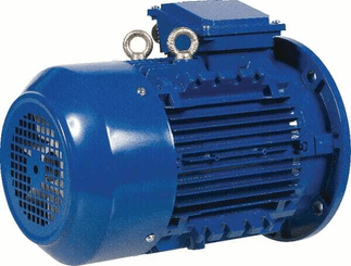 Pièces agricoles - Electricité - Moteur électrique 0,75 kW